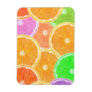 Search for summer fruit magnets Food