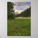 Search for banff posters Mountains