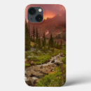 Search for pine trees cases Sunrise