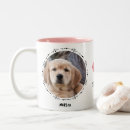 Search for loss of dog mugs Pet