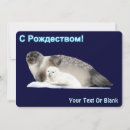 Search for seal cards Nature