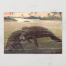Search for mammals invitations Sea creatures
