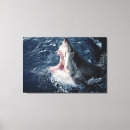 Search for danita delimont canvas prints Colour image