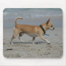 Search for beach walk mousepads Walking