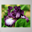 Search for close art Botanical