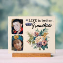 Search for plastic plaques Floral