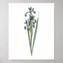 Search for flowering plants posters Mother