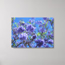 Search for jacaranda Blue