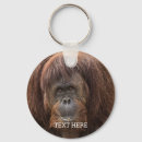 Search for orangutan key rings Great ape