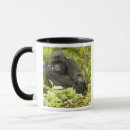Search for mountain gorilla mugs Rwanda