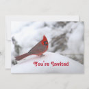 Search for cardinal bird invitations Nature