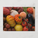Search for heirloom postcards Tomato