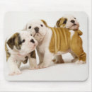 Search for bulldog mousepads Dogs