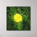 Search for single yellow canvas prints Grass