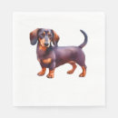 Search for cream dachshund Animal