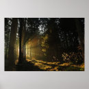Search for sun rays posters Vintage