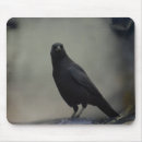 Search for crows mousepads Dark
