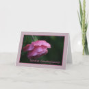 Search for italian sympathy cards Condoglianze