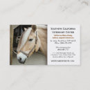 Search for horse vet business cards Veterinarian