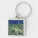 Search for pipe organs key rings Plant