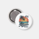 Search for nassau magnets Summer