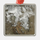 Search for nevada christmas tree decorations Outdoors