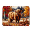 Search for cow magnets Autumn