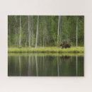 Search for finland puzzles Forest