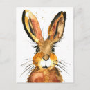 Search for hare postcards Brown