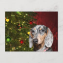 Search for hot spots postcards Spotted