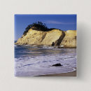 Search for sps badges Scenic