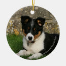 Search for border collie puppy christmas tree decorations 12 weeks