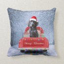 Search for weimaraner cushions Pet