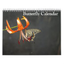 Search for butterfly calendars Swallowtail