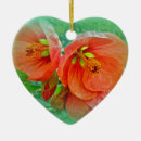 Search for hibiscus christmas tree decorations Photography