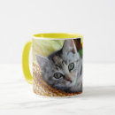 Search for baby kitten mugs Purr