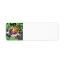 Search for monarch butterfly return address labels Nature