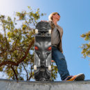 Search for epic skateboards Retro