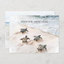 Search for wish you were here postcards Coastal