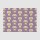Search for dog coat Dachshund