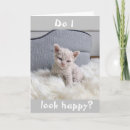Search for sad cards Kitten
