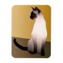 Search for digital magnets Animals