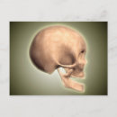 Search for representations postcards Human representation