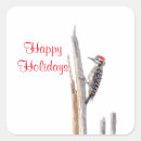 Search for woodpecker stickers Animal