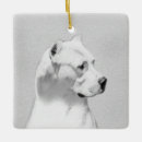 Search for argentina christmas tree decorations White