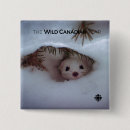 Search for weasel badges Wildlife