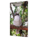 Search for australia photography Bird