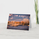 Search for scene note cards Ocean