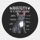 Search for english bulldog puppy stickers Yellow lab