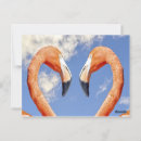 Search for printed postcards Heart